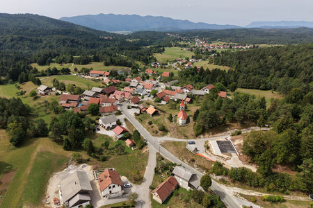 Selšček   02 Foto Ljubo Vukelič